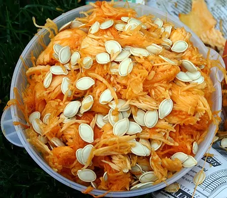 Separate pumpkin seeds from pumpkin insides - How to roast pumpkin seeds