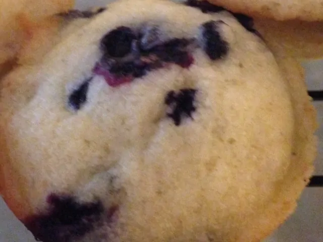 Blueberry Muffin Recipe