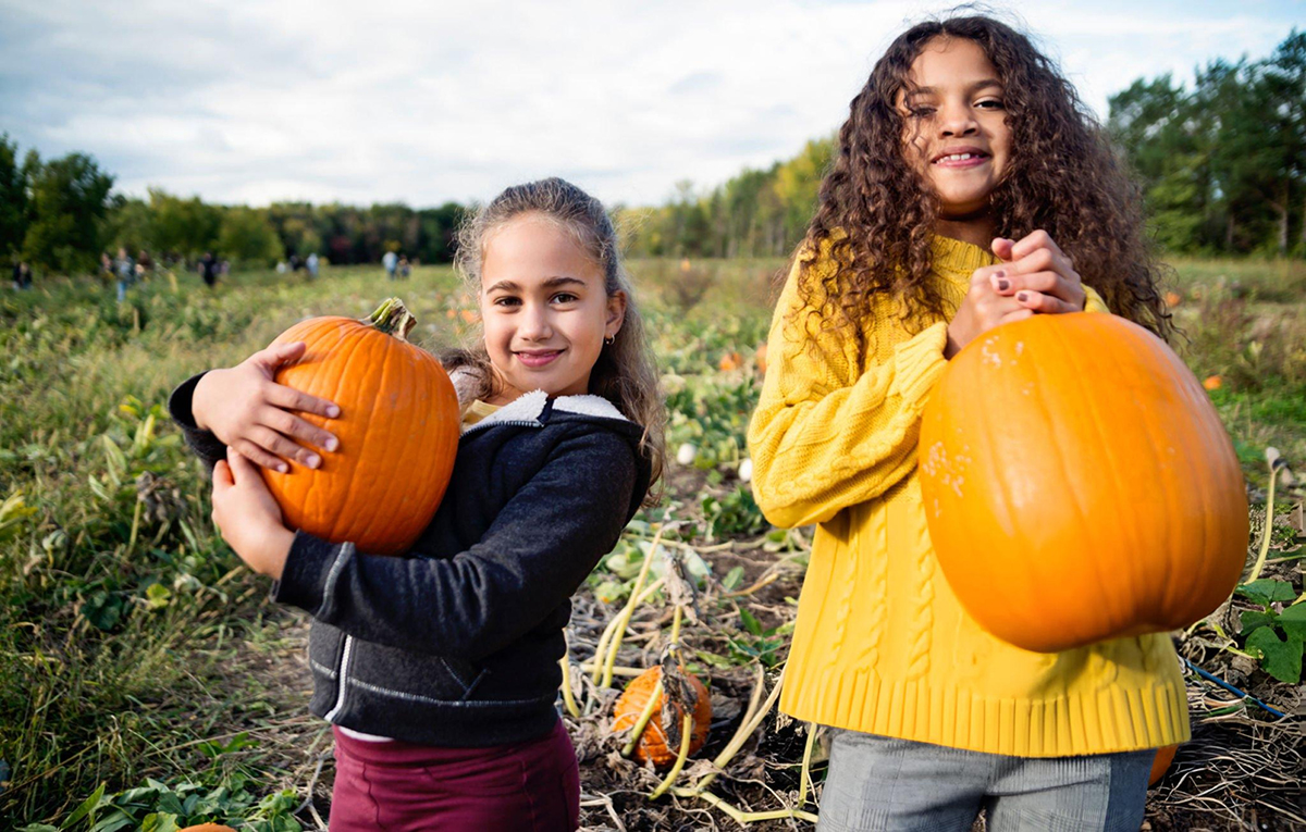 Step 1 Select a pumpkin