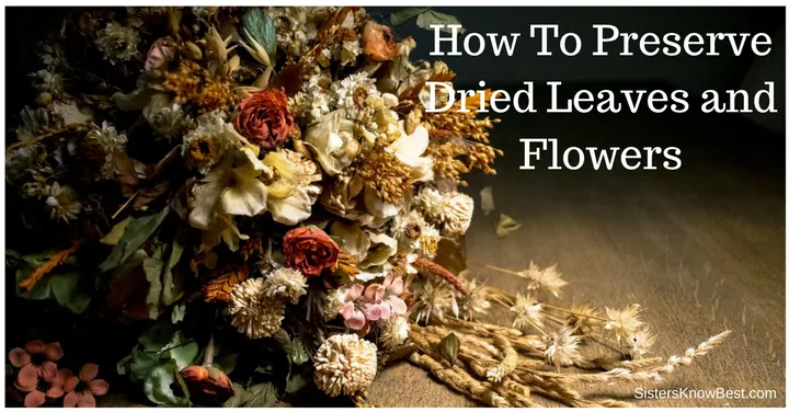 How To Preserve Dried Leaves and Flowers by Sisters Know Best