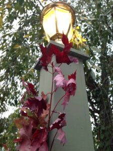 Beginning of Fall Leaf Garland