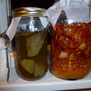 Dragonfly Fire Cider