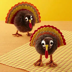 Pom-pom turkey project