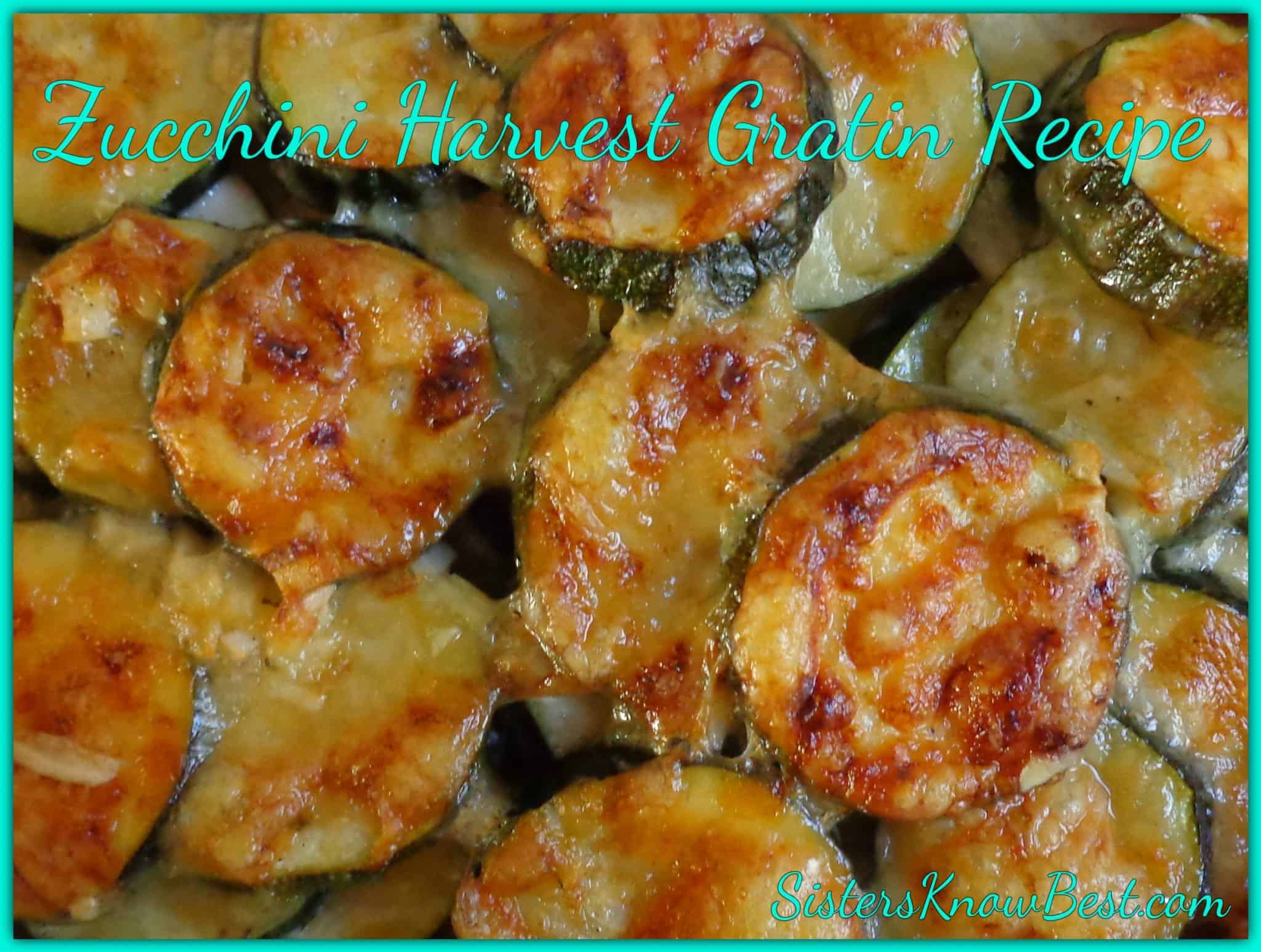 Zucchini Harvest Gratin Recipe