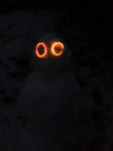 snowmen glow lights2