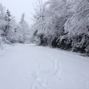 snowy road