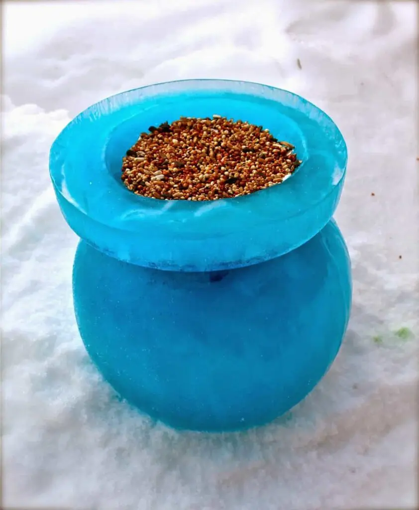 DIY Ice Bird Feeder