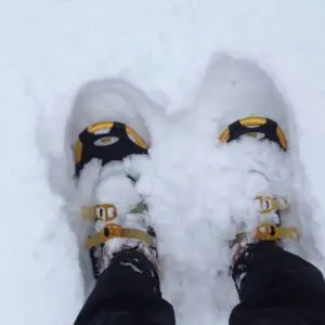 Snowshoes