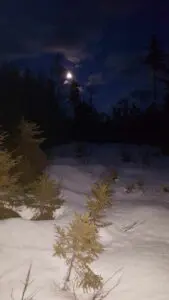 Almost Full Moon Snowshoe Outing