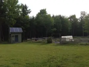 Garden with solar panels