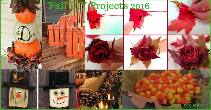 Fall DIY Projects 2016