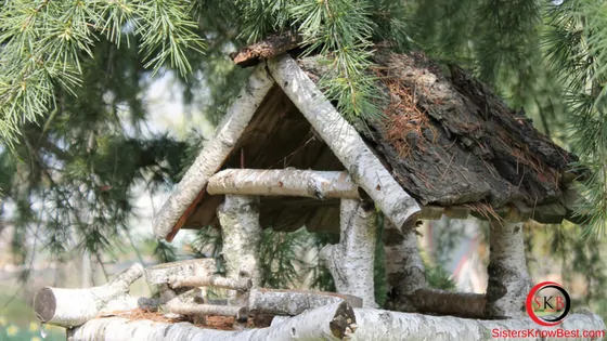 Birch Bark House by Sisters Know Best