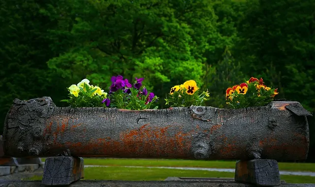 flowers in a hollow log DIY project