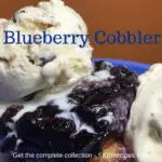 Blueberry Cobbler by SKBrecipes.com