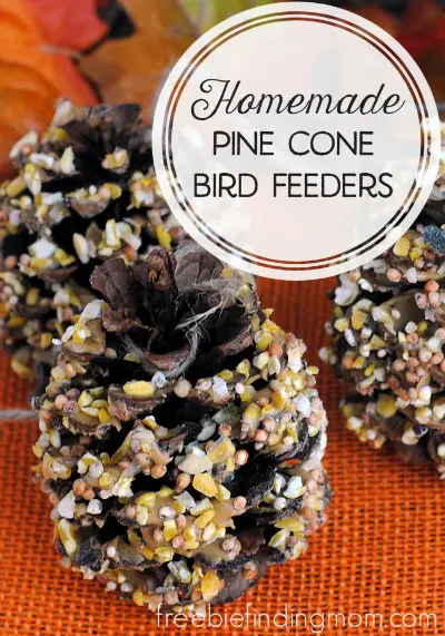 pinecone bird feeders