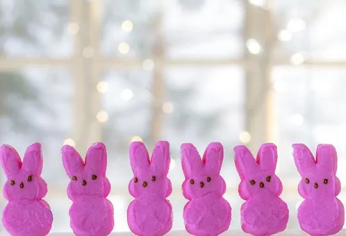 Easter Decoration Peeps