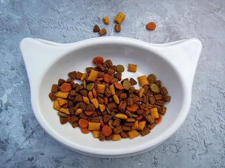 Pet Food Allergies - Kibble