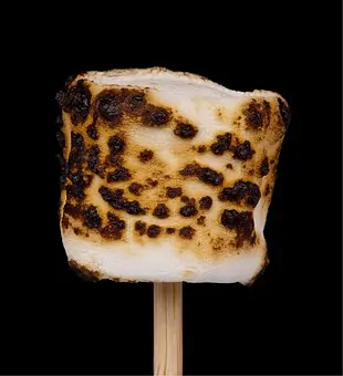 toasted marshmallow