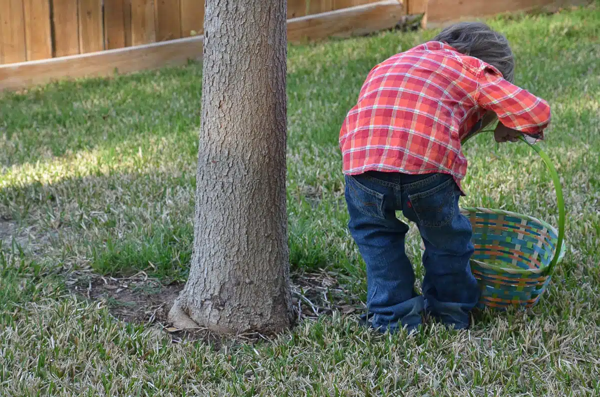 little boy hunting for easter eggs