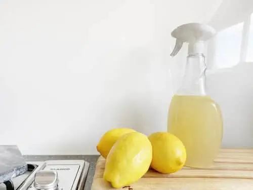 three lemons by a cleaning spray bottle