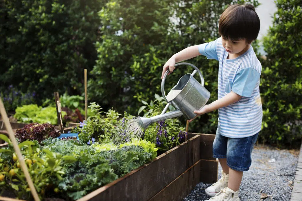 boy with watering can watering vegetables