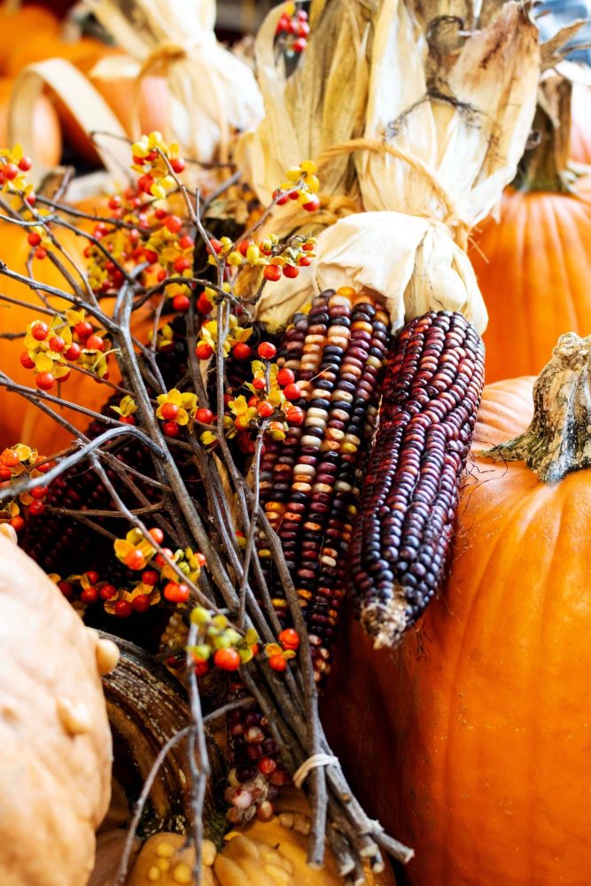 Thanksgiving Craft Ideas - Indian corn as a centerpiece